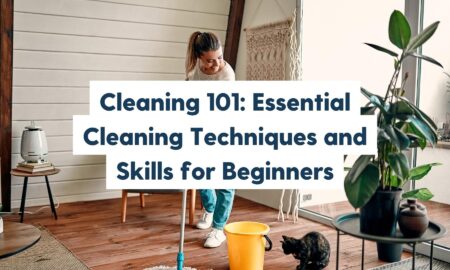 essentials cleaning techniques